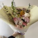 민주수경재배꽃집