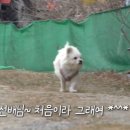 지혁목장 이미지