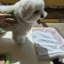 세신유치원 이미지