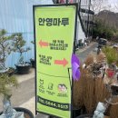 안영셀프주유소 | 대전 안영동 닭볶음탕 맛집 추천, 혼밥 가능한 뚝배기 닭볶음탕 안영마루 후기