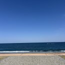 가족과 함께하는 우리 밀 베이킹 | 포항 역대급 오션뷰 창바우 오토캠핑장에서 보낸 2박3일 (3번 사이트, 예약꿀팁)