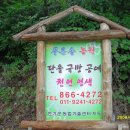 단율 이미지