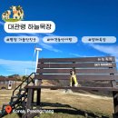 두평목장 | [강원도 애견동반여행] 평창 가볼만한 곳 &amp; 반려견 동반 양떼목장 대관령 하늘목장 코스, 체험, 놀거리