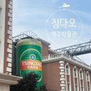 (주)산동 | [칭다오 여행] 인천에서 칭다오 산동항공 후기/mix c 몰/ 54광장/맥주박물관 코스!