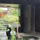 스테이하우스 | 프라이빗 스테이 '시사오 하우스 제주' 숙박 후기 (제주 독채 숙소 추천)