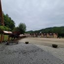 장승초등학교(병설) 이미지