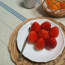 초시농장 이미지