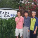 동심결 이미지
