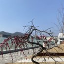 힐링창고 | 🌸 봄날의 힐링 명소, 광양예술창고 여행 후기 🌸