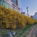 맑은운동화 이미지