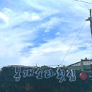 제주도 / 제주시청근처 &#39;봉개소라횟집&#39; 한치물회 먹은 후기