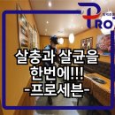 프로방역