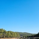 다대포해수욕장 | 부산 다대포해수욕장 산책 후기 갈대밭과 바람에 흩날리는 모래 감성(ft. 패러글라이딩 서핑)