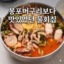 수산항 | 속초 대신 양양 물회 맛집 간 이유｜수산항 물회 재방문 후기