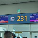 두두민박 | 6월달 일을 내가 어 떻 게 기억하냐고(놀고먹은것들, 그리고 차은우 VR 콘서트)