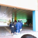 KTI태권도장 이미지