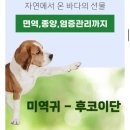 스페푸 이미지