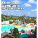 잠수마실 | 경주 캘리포니아비치 방문 후기! 어트랙션부터 먹거리, 이용 꿀팁까지 3년 연속 다녀온 후기