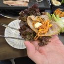 돼지 한마리