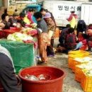 솔미마을 뉴시스