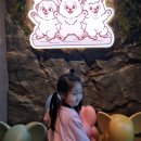 광안장수 경로당 | 6살 아이랑 다녀온 광안리 애니멀숲 솔직후기 (동물 종류, 주차정보 등)