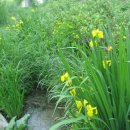 청계천로 이미지