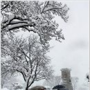 설국 - 강남구 남부순환로 2806 | 설국