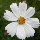 좋은아침의원 이미지