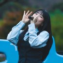 나랑노랑 이미지