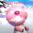 왕가네탕후루 이미지