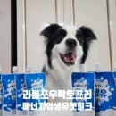 리틀포우 이미지