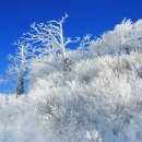 미적감각 이미지