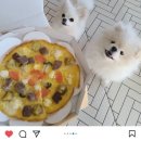 배꼽시개 | #배꼽시개#후기모음