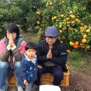 오세열농장 이미지