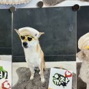 두두스테이 이미지