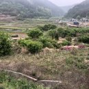 구산면557 이미지