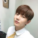 보민