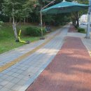 배다리저수지 사거리 이미지