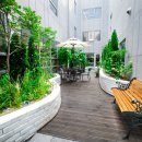 [골목]기체조 이미지