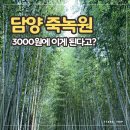 진도향교 | 담양 죽녹원 여름 후기 | 3,000원에 이게 된다고?