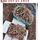 손자농장 이미지