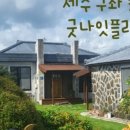 제주ㅣ동쪽 여행 코스 2박3일 일정 경비 비행기 에어비앤비 숙소 식비 맛집 추천