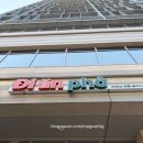 안포 | 과천지정타맛집 디안포 쌀국수 후기