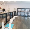 이재룡의 뭉개뭉개유치원 이미지