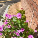 익숙한 일상중 고민거리!! 이미지