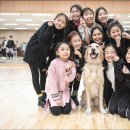 (공연) 뮤지컬 <애니> 이미지