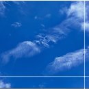 향동숲내초등학교 이미지