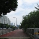 서호꽃뫼 이미지