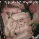 청수축산 이미지