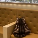 지안동물의료센터 이미지